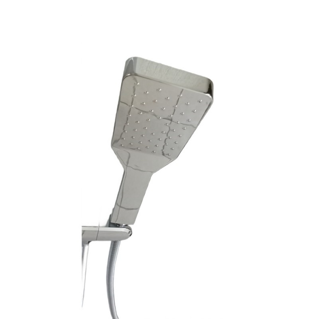 Ceruttispa SELLA B CT8989