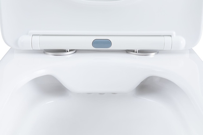 Aquanet Fine Rimless FINE-C Soft Close (чаша)